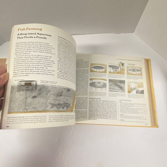 Reader's Digest BACK TO BASICS Hardcover Book 1981 - Picture 16 of 16